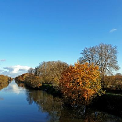 Biodiversité en Pays de la Loire 2024