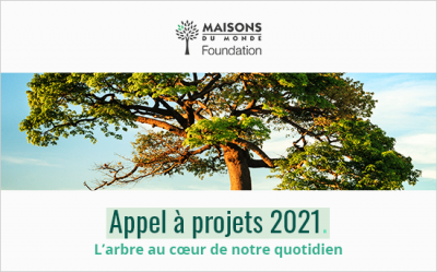 « L'arbre au cœur de notre quotidien »