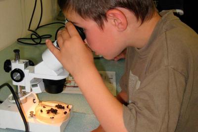Appel à projets - Enfance et découverte des sciences