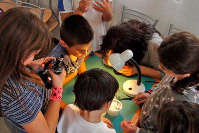 Appel à projets Enfance et découverte - Projets éducatifs innovants