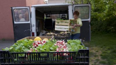 Vers une stratégie nationale pour l'alimentation, la nutrition et le climat (SNANC)