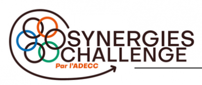 ECONOMIE INDUSTRIELLE ET TERRITORIALE - ECONOMIE CIRCULAIRE - Synergies Challenges