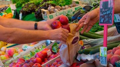 Vers la stratégie nationale pour l’alimentation, la nutrition et le climat (SNANC)