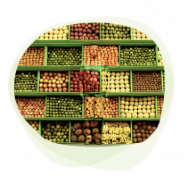 Food for Good : une alimentation saine et accessible 